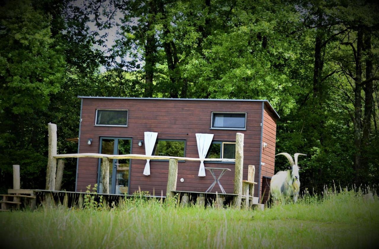 Saint-BazileLa Tiny House Terra Nostra公寓 外观 照片